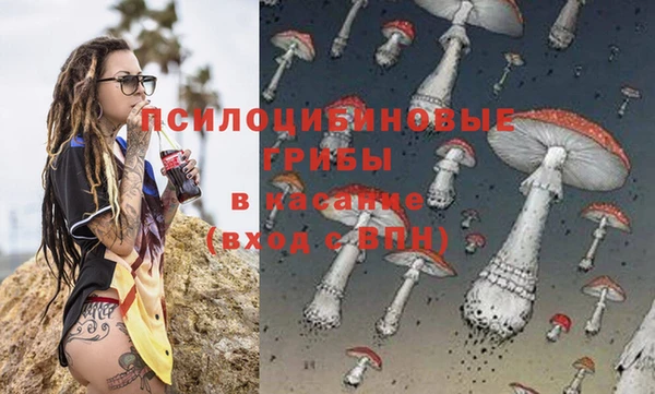 эйфоретик Пестово