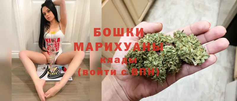 Бошки марихуана конопля  маркетплейс формула  Боготол  где купить наркоту 